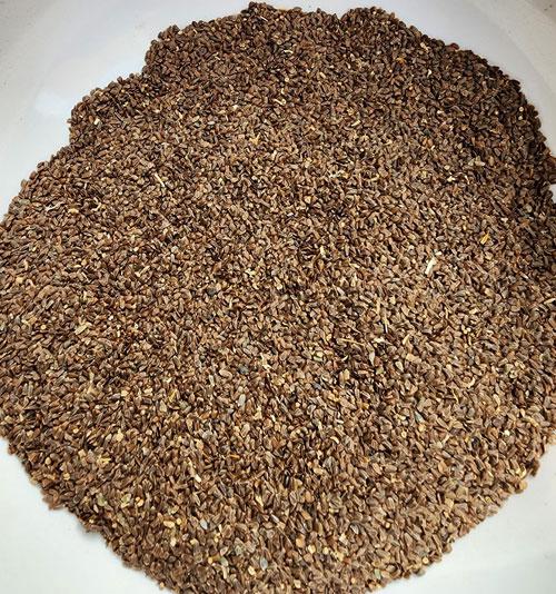 AEKHARO (TALMAKHANA)