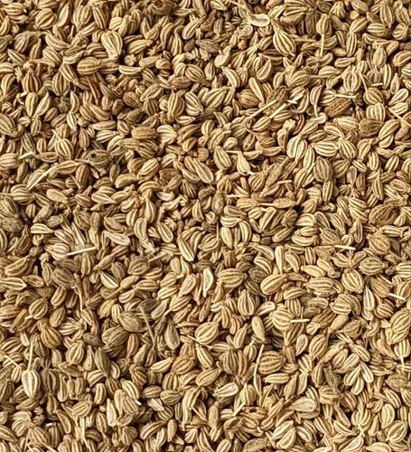 AJWAIN (AJMA)