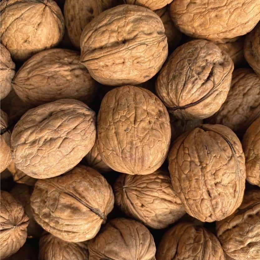 WALNUT  BARK (AKHROT)