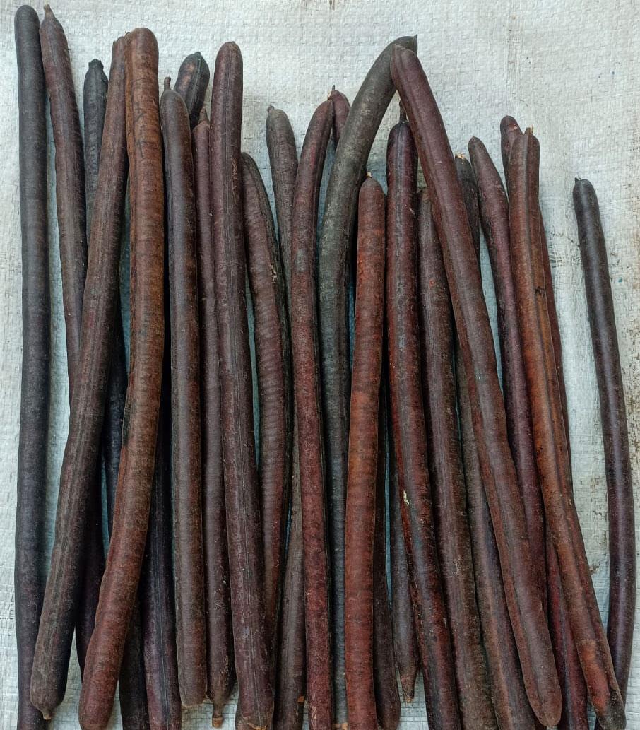 AMALTASS PHALI (GARMALA)