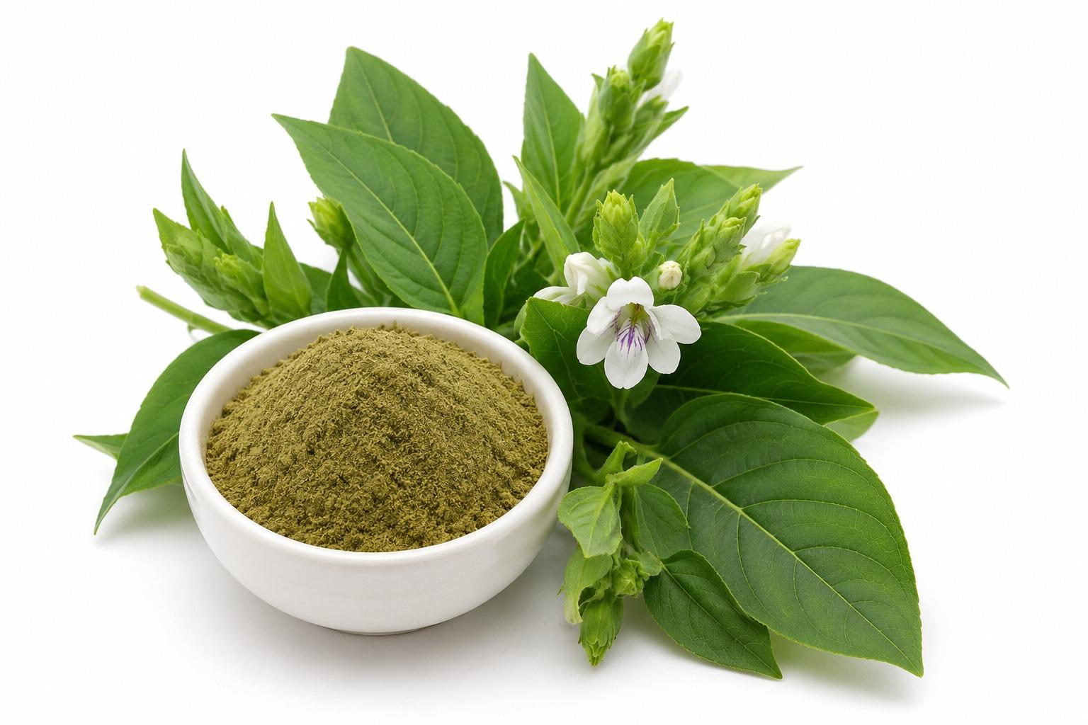 Ardusi Powder