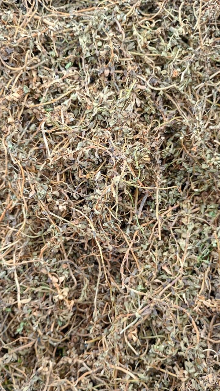 BRAHMI (BACOPA) 