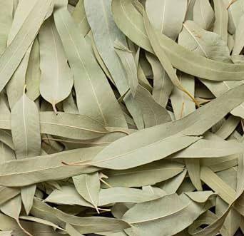 NILGIRI LEAVES 