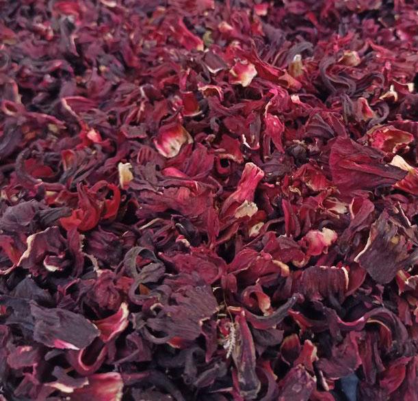 JASUD PHOOL (HIBISCUS FLOWER)
