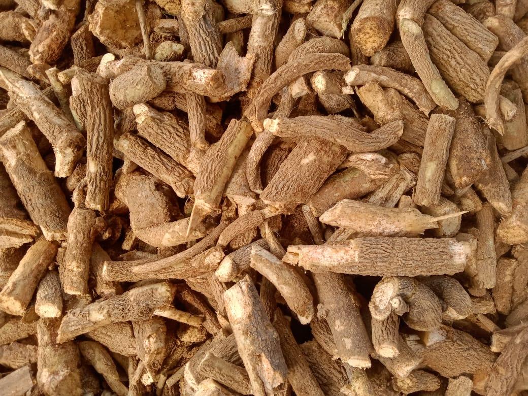 JIVANTI DODI