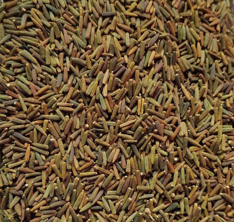 KALIJIRI (KALA JEERI) 