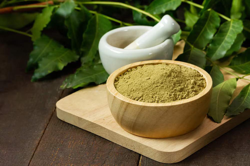 Kalmegh Powder