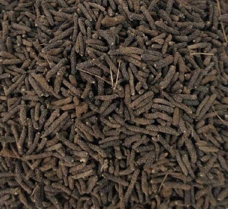 LINDI PIPAL (LONG PEPPER)