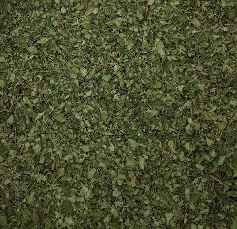 MORINGA LEAVES 