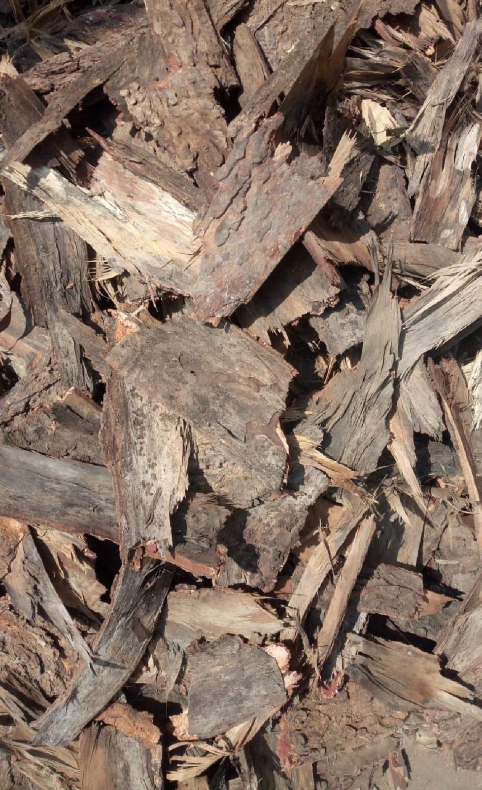 NEEM BARK