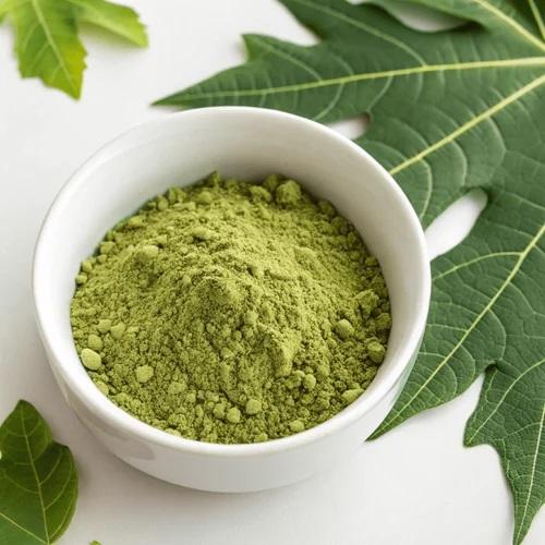 Papaya Leaves Powder