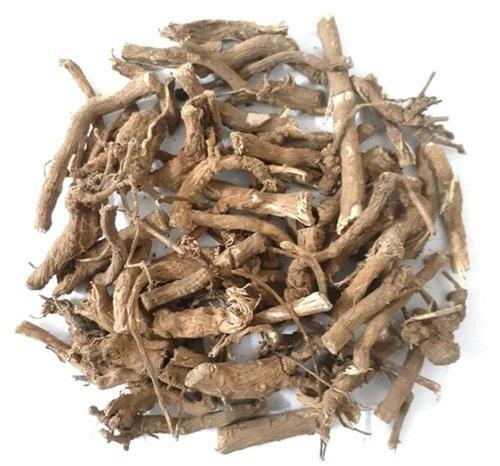 PUNARNAVA ROOT (SATODI)