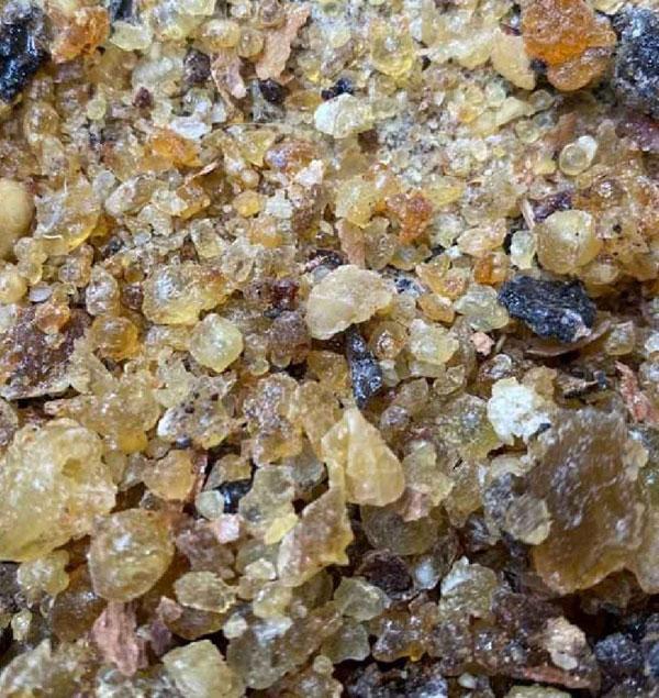 SHALLAK (SALAI GUGAL)