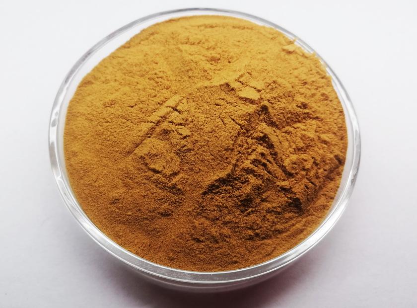 Saptparni Powder