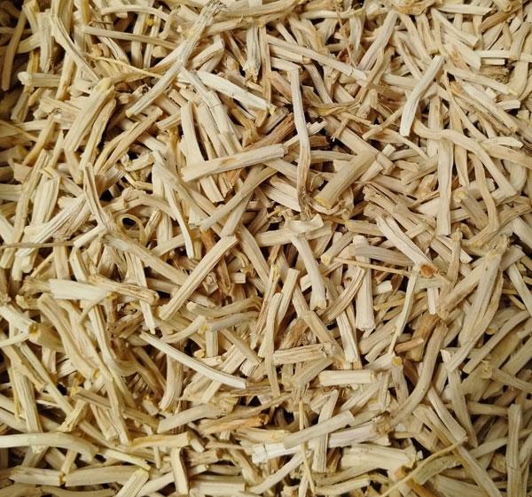 SHATAVARI WHITE 