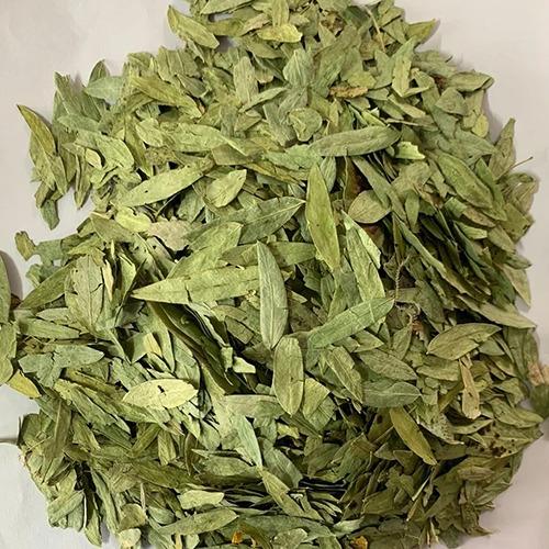 SONA MUKHI (SENNA LEAVES) 
