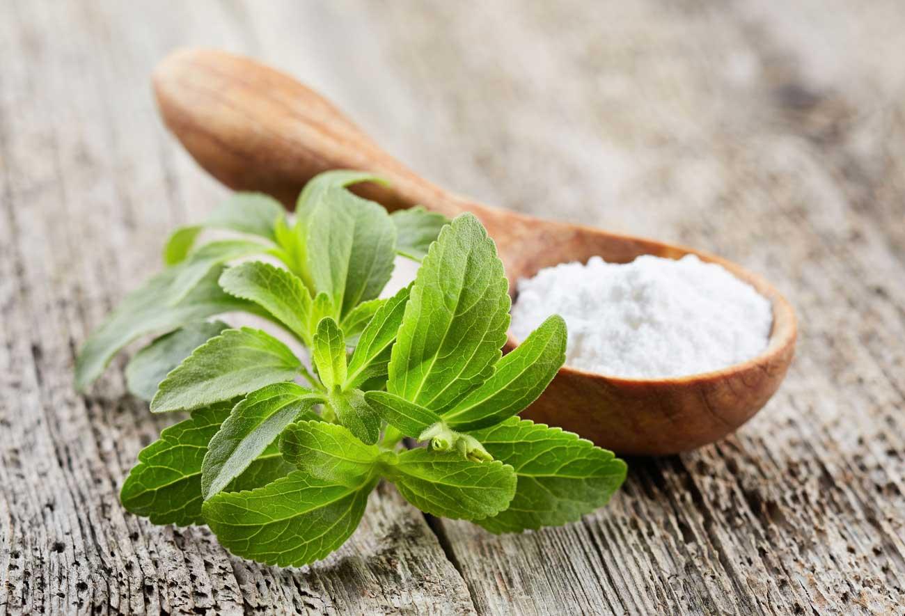 STEVIA LEAVES 