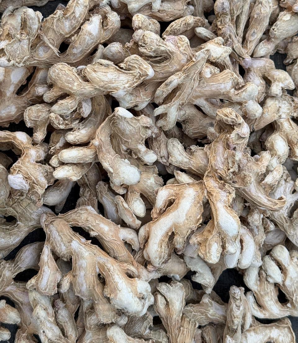 DRY GINGER (SUNTH)