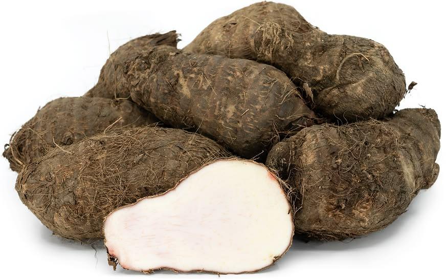 ELEPHANT FOOT YAM (SURAN)