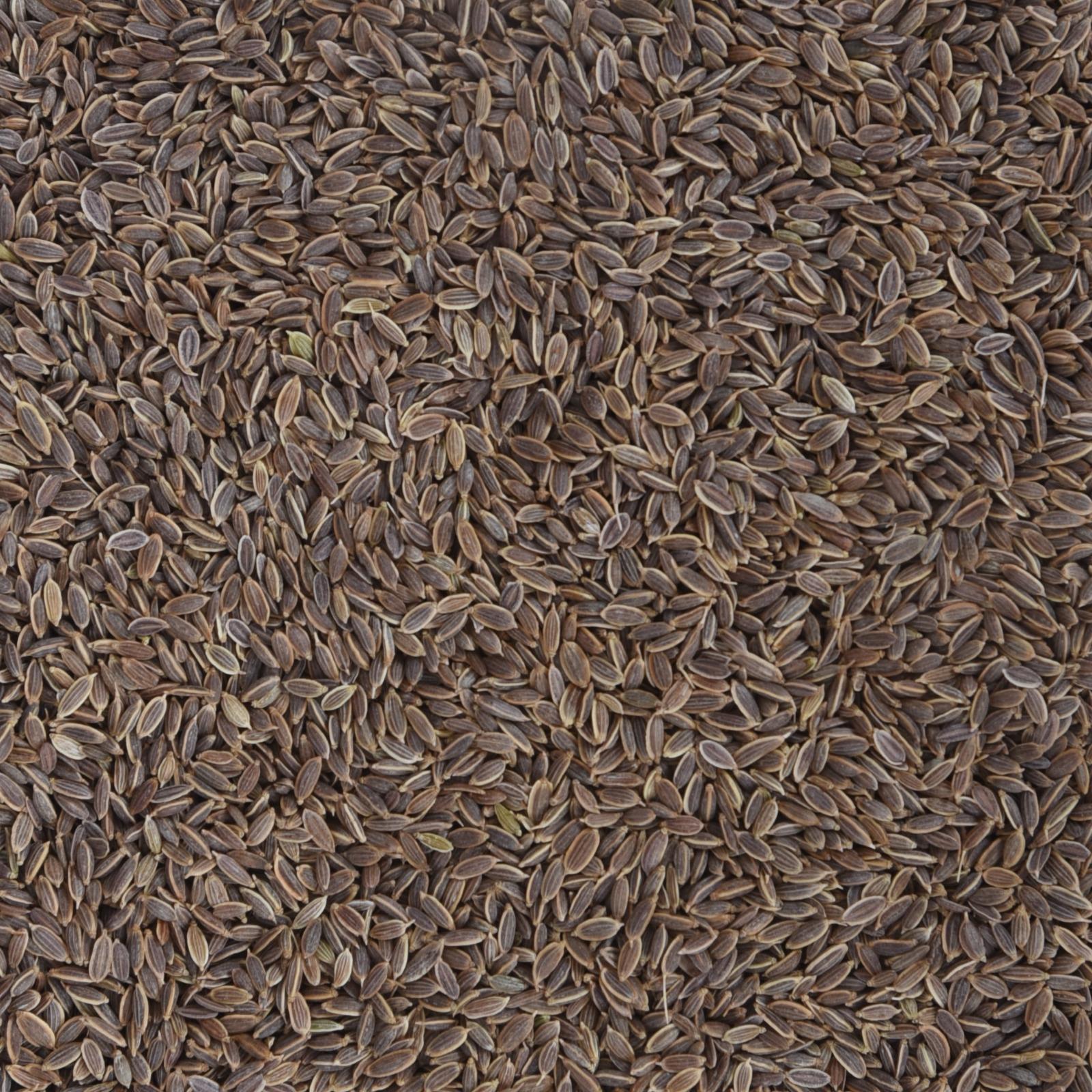 SUVA DANA (DILL SEEDS)